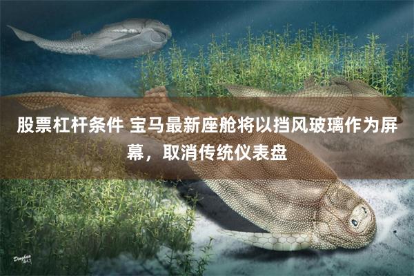 股票杠杆条件 宝马最新座舱将以挡风玻璃作为屏幕，取消传统仪表盘