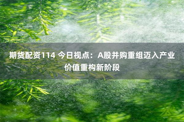 期货配资114 今日视点：A股并购重组迈入产业价值重构新阶段