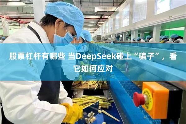 股票杠杆有哪些 当DeepSeek碰上“骗子”，看它如何应对
