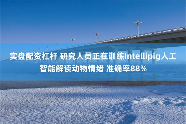实盘配资杠杆 研究人员正在训练Intellipig人工智能解读动物情绪 准确率88%