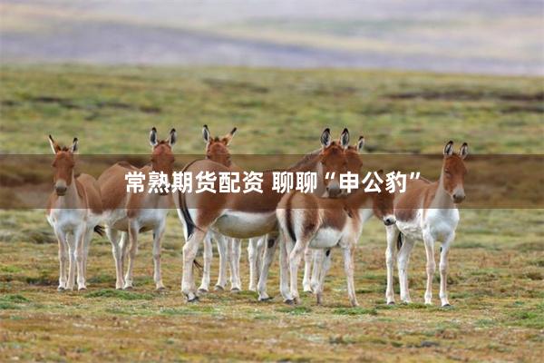 常熟期货配资 聊聊“申公豹”