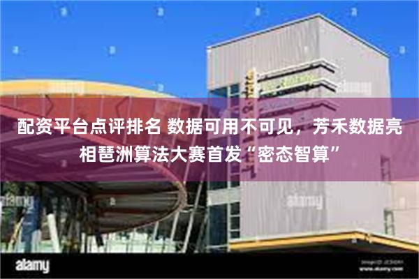 配资平台点评排名 数据可用不可见，芳禾数据亮相琶洲算法大赛首发“密态智算”