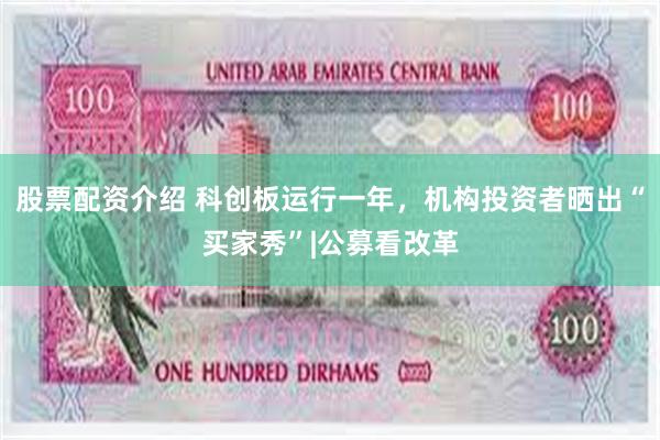 股票配资介绍 科创板运行一年，机构投资者晒出“买家秀”|公募看改革