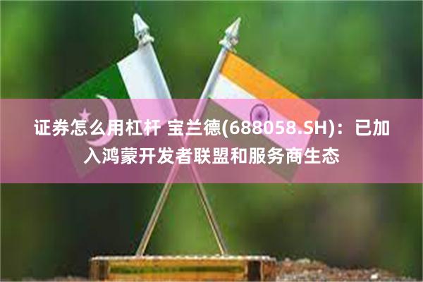证券怎么用杠杆 宝兰德(688058.SH)：已加入鸿蒙开发者联盟和服务商生态