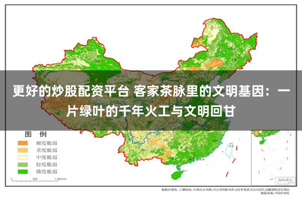 更好的炒股配资平台 客家茶脉里的文明基因：一片绿叶的千年火工与文明回甘