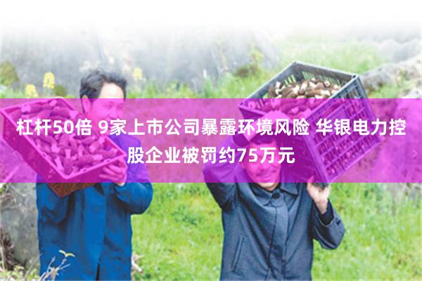 杠杆50倍 9家上市公司暴露环境风险 华银电力控股企业被罚约75万元
