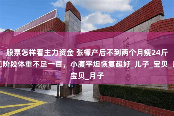 股票怎样看主力资金 张檬产后不到两个月瘦24斤，现阶段体重不足一百，小腹平坦恢复超好_儿子_宝贝_月子