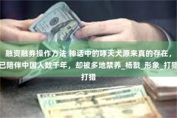融资融券操作方法 神话中的哮天犬原来真的存在，已陪伴中国人数千年，却被多地禁养_杨戬_形象_打猎