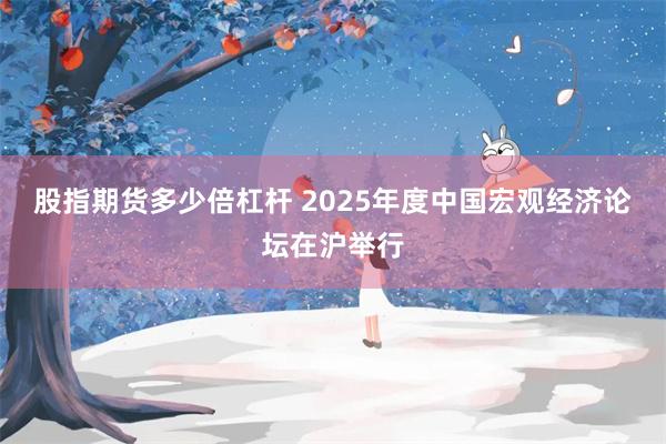 股指期货多少倍杠杆 2025年度中国宏观经济论坛在沪举行