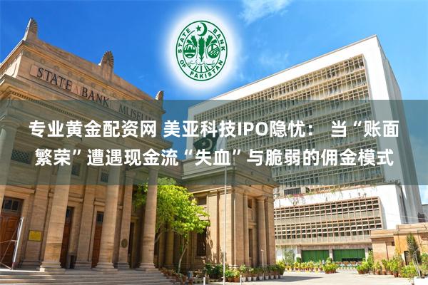 专业黄金配资网 美亚科技IPO隐忧： 当“账面繁荣”遭遇现金流“失血”与脆弱的佣金模式