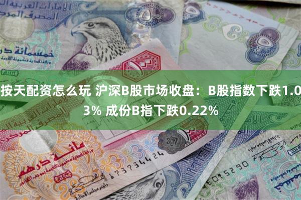 按天配资怎么玩 沪深B股市场收盘：B股指数下跌1.03% 成份B指下跌0.22%